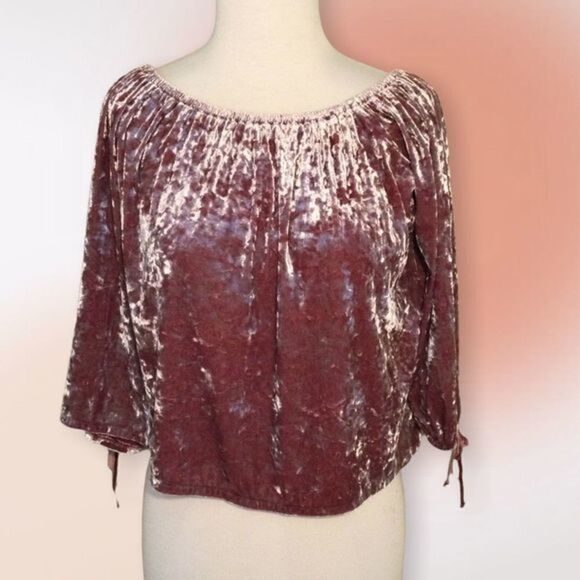 American Eagle Outfitters Mauve Crushed Velvet Cropped‎ Top XS - Picture 3 of 10